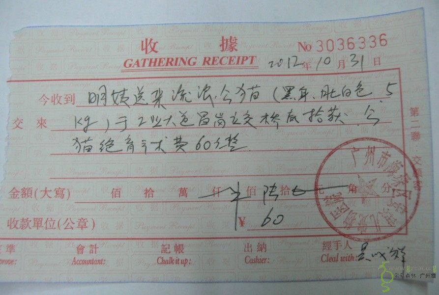 公司公账的钱可以转到法人的私人账户么?如果