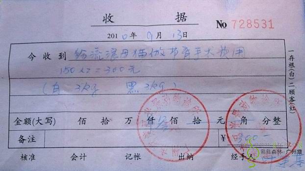 收据:2只母猫绝育:150*2=300元